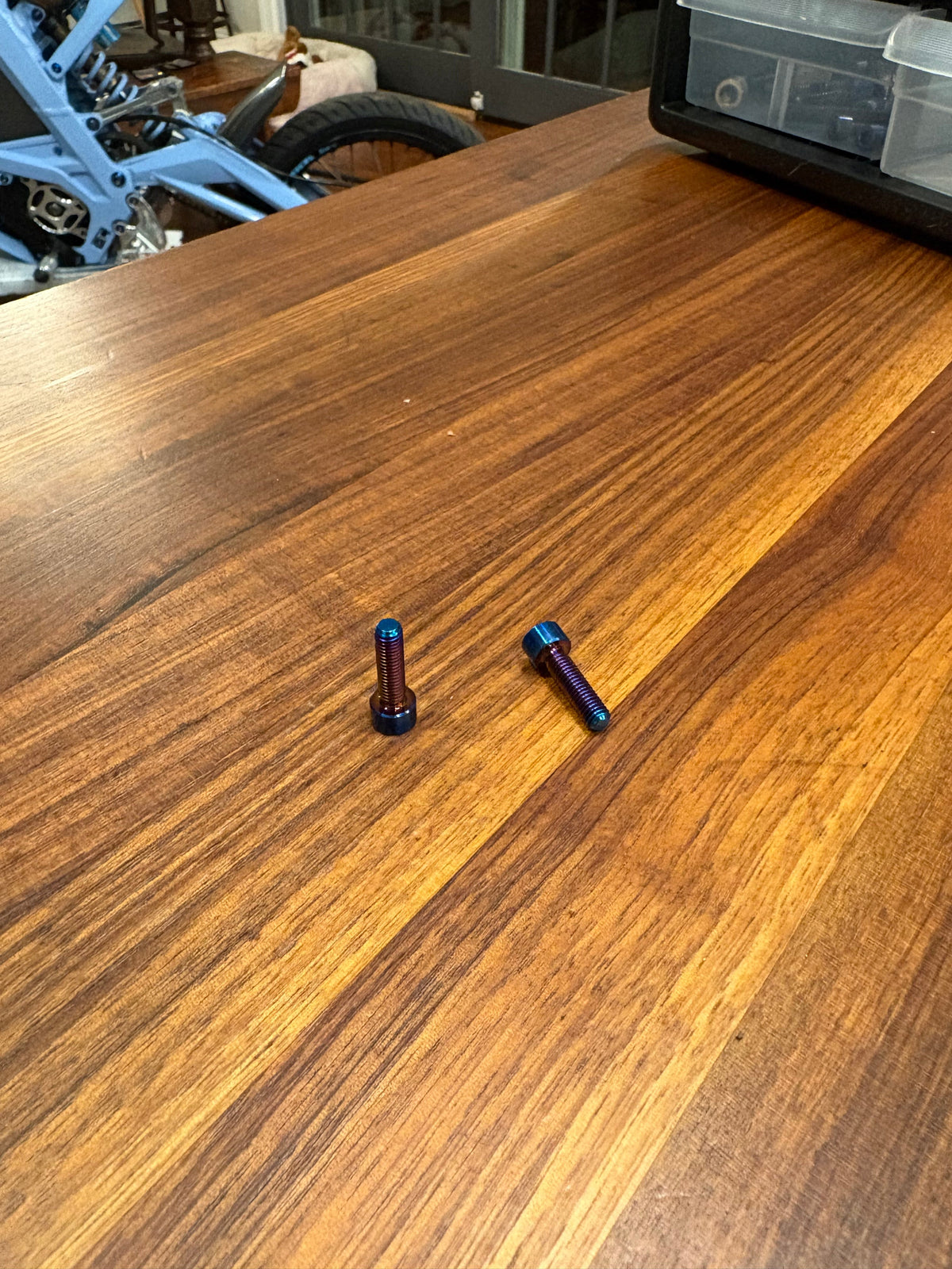 Prickles Racing Prickly S2 Mount Titanium Bolts (set of 2) – rq.racing